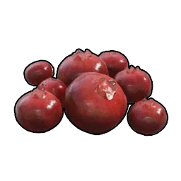 Palworld 1.0 Wiki - Red Berries item